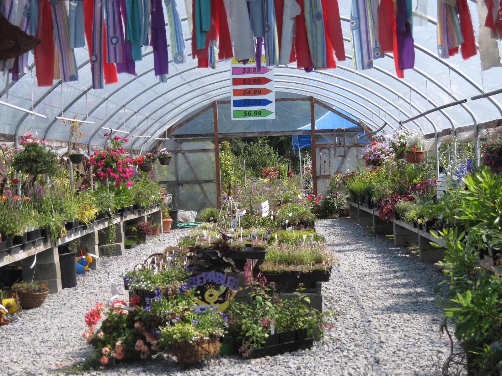 Bonney Lassie A Trip to The Barn Nursery in Olympia, WA