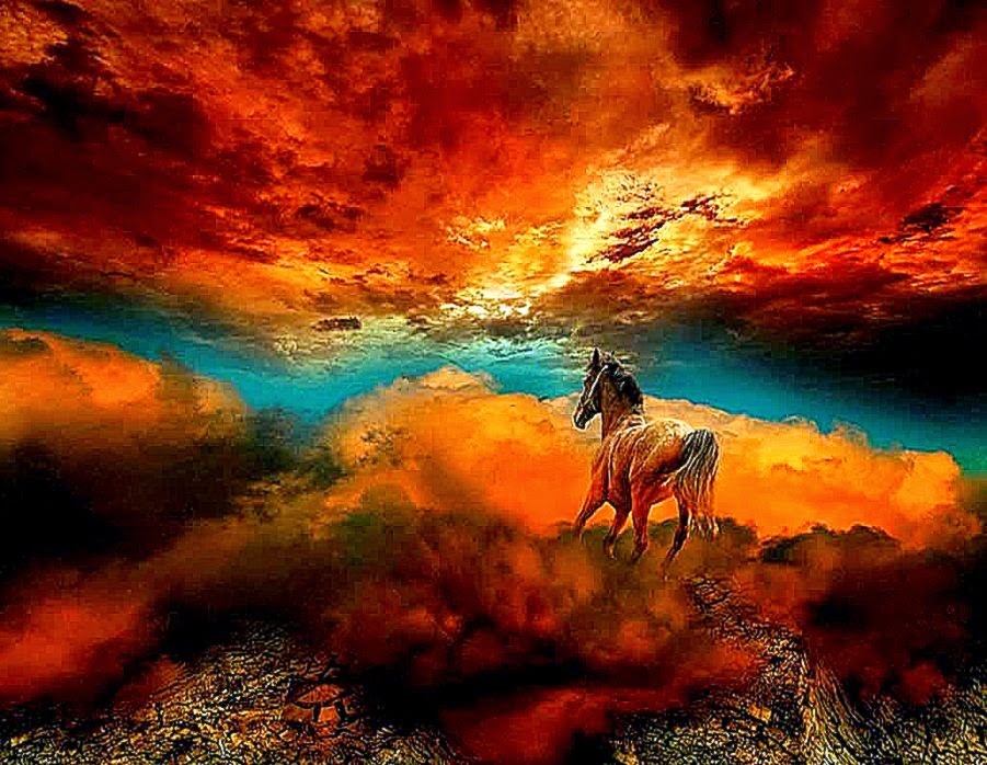 Colorful Horse Prints For Sale Wallpaper