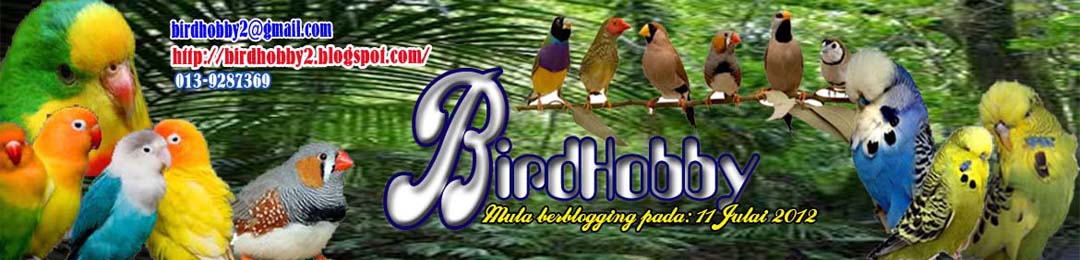 BirdHobby