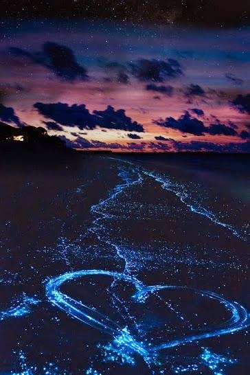Stamp My Passport: Bioluminescencent Light in the Ocean: Neon-blue