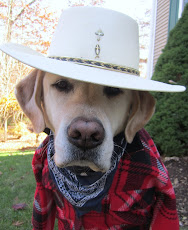 Cowboy Gus