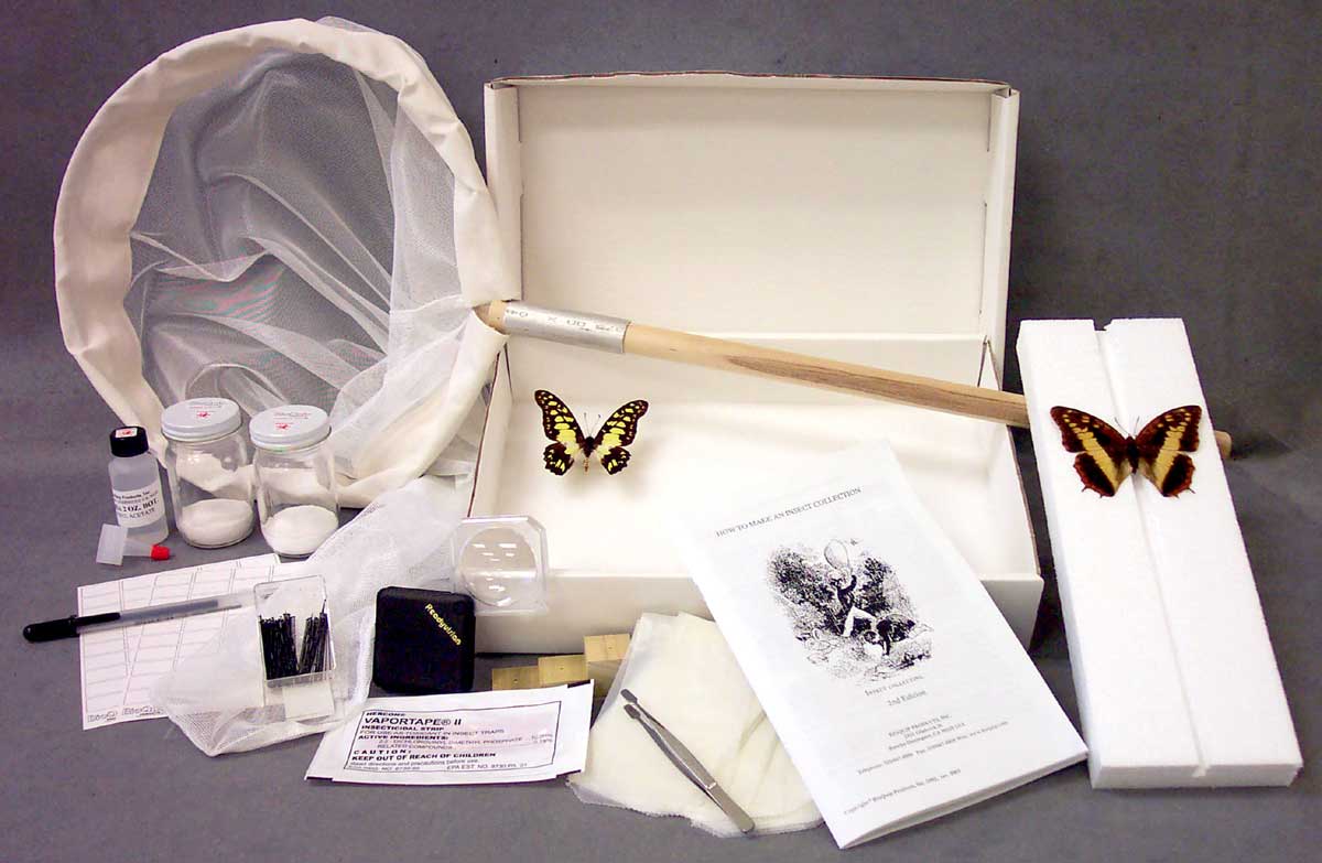 Bexar County Entomology Best Gift Ideas for the Entomologist in Your Life