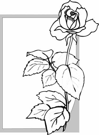More Roses Coloring Pages