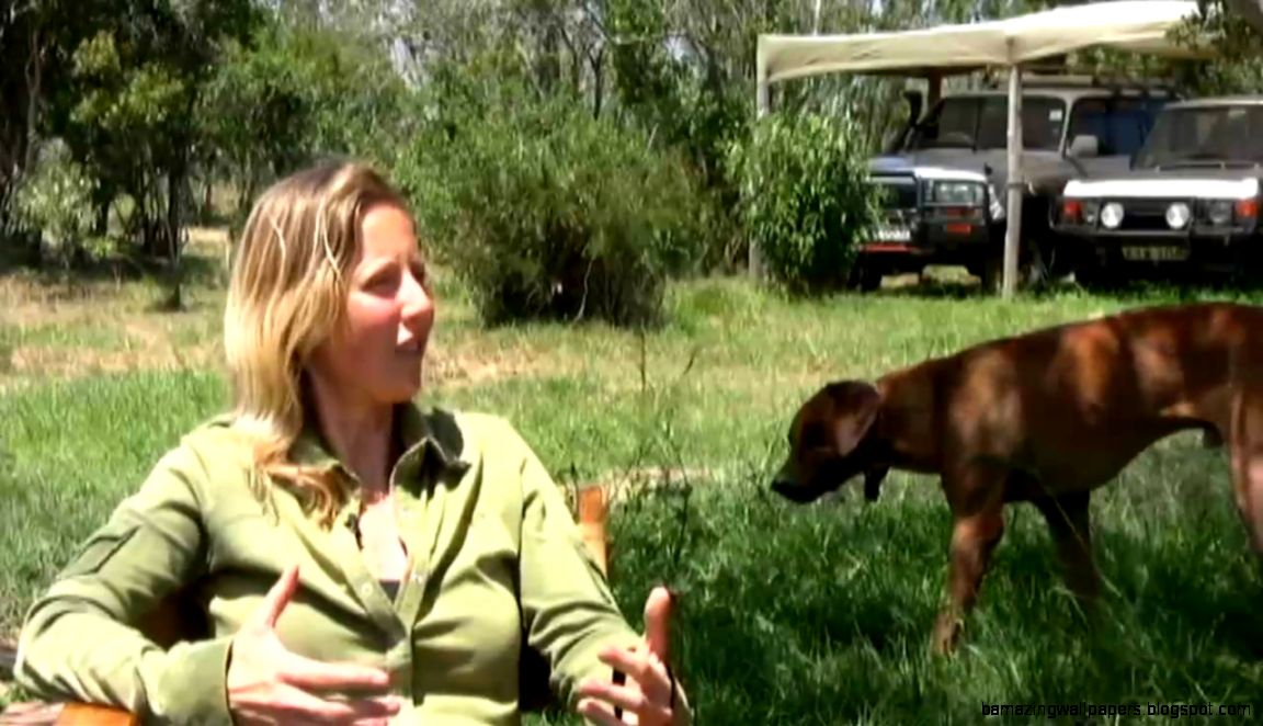 How Wildlife Biologist Dream Job Becomes Reality Alayne How Wildlife Biologist Dream Job Becomes Reality Alayne