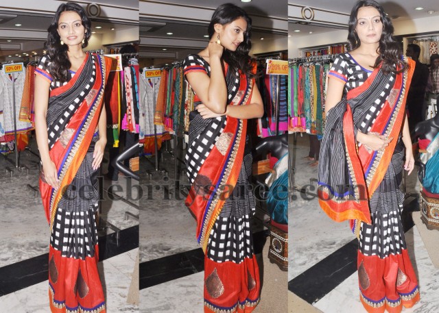 Nikitha Narayan Latest Silk Saree