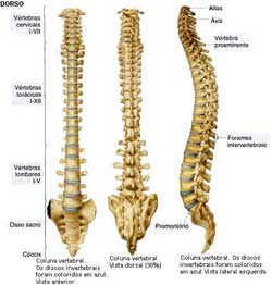 Exame da coluna cervical