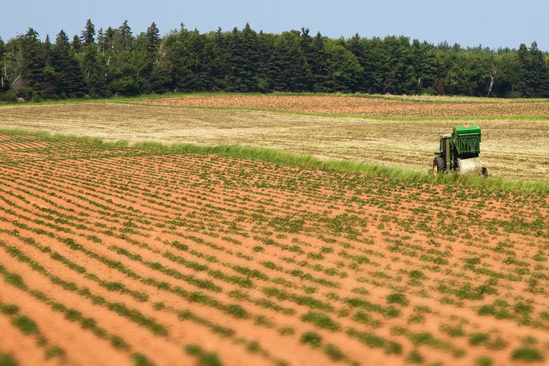 sending postcards prince edward island