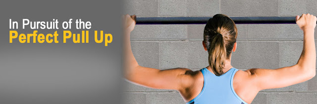 Wall/Ceiling Mounted Pull Up Bar Gym Equipment Reviews