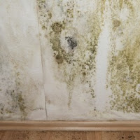 "Preparar pared antes de pintar2"