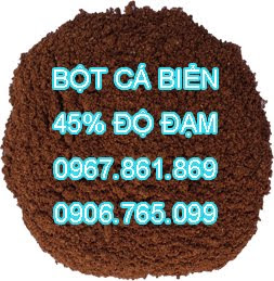 BỘT CÁ BIỂN