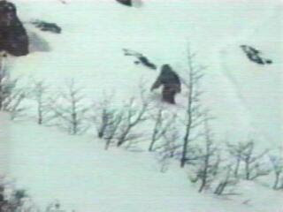 Yeti Footage