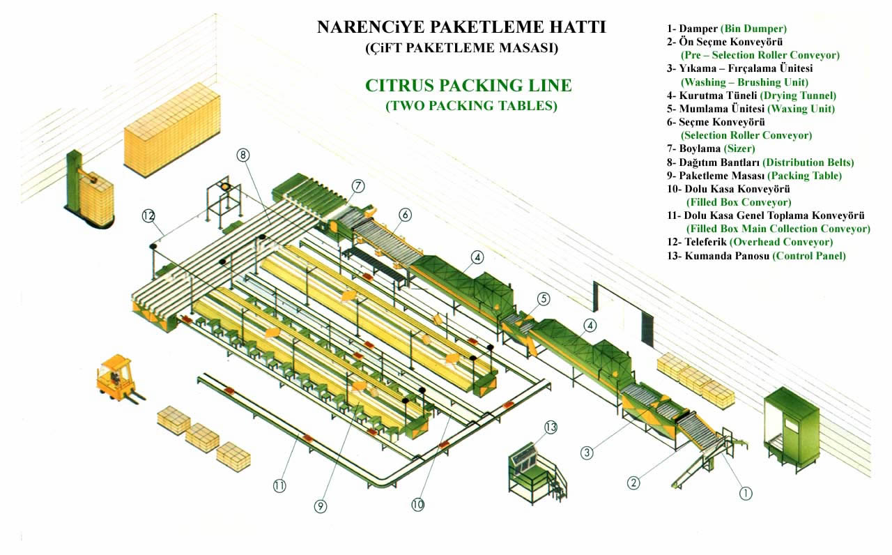 AlDiaa Group Citrus Packing House Processes