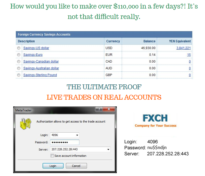 Mt5 forex robot