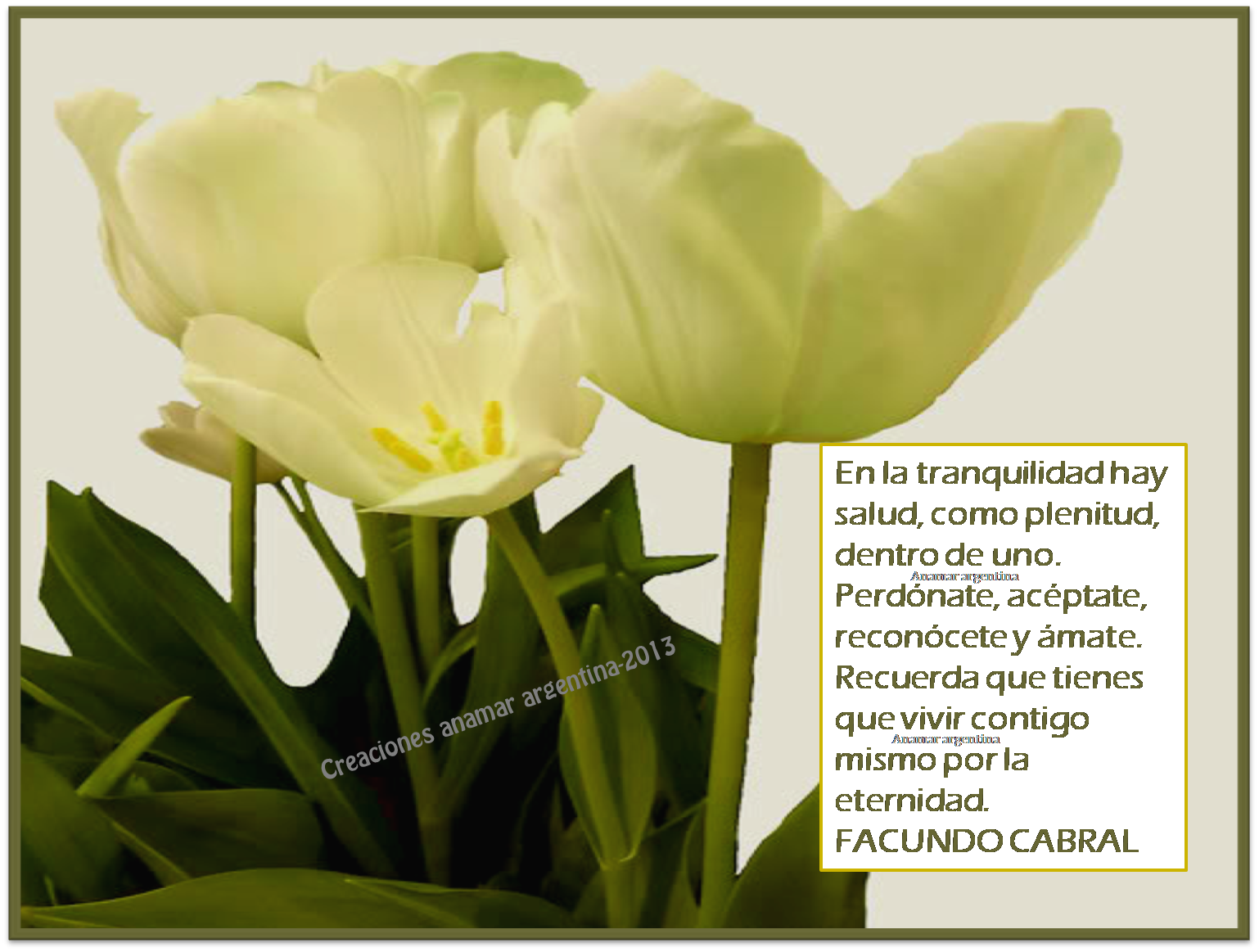 http://3.bp.blogspot.com/-E1wslalKe1o/Uf-r3peF99I/AAAAAAAAB4U/d-R2Y2sp3iw/s1600/Imagenes+con+pensamientos+positivos+-motivadores+75-creaciones+anamar-argentina-2013.png