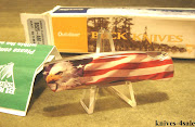 Buck 525 USA American Flag Eagle Locback Pocket Knife