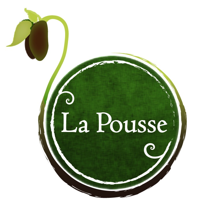 Bienvenue sur le Blog du projet "La Pousse"