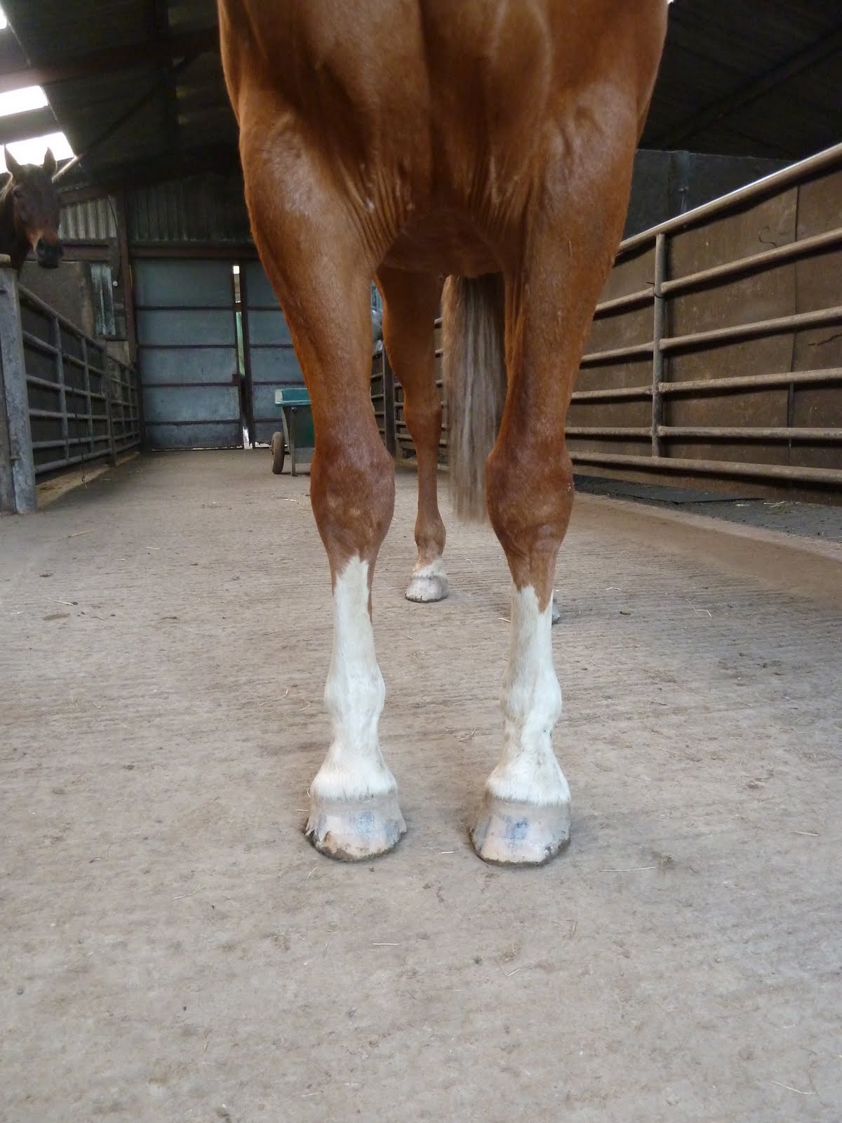 d&d 3.5 flat footed d&d 3.5 flat footed