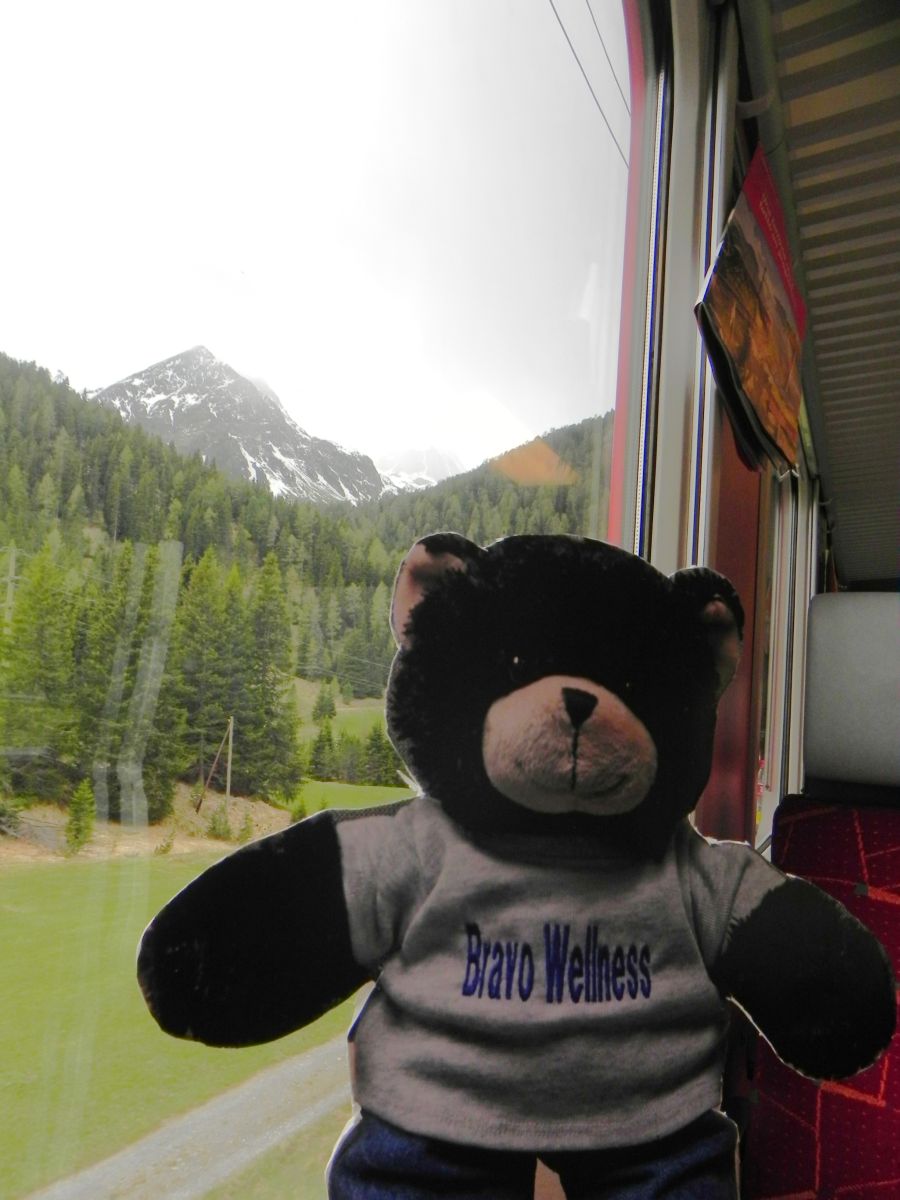 bear on train