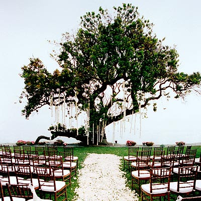 Unique Wedding Altars