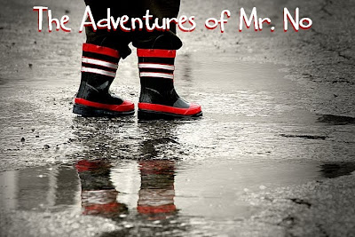 The Adventures of Mr. No