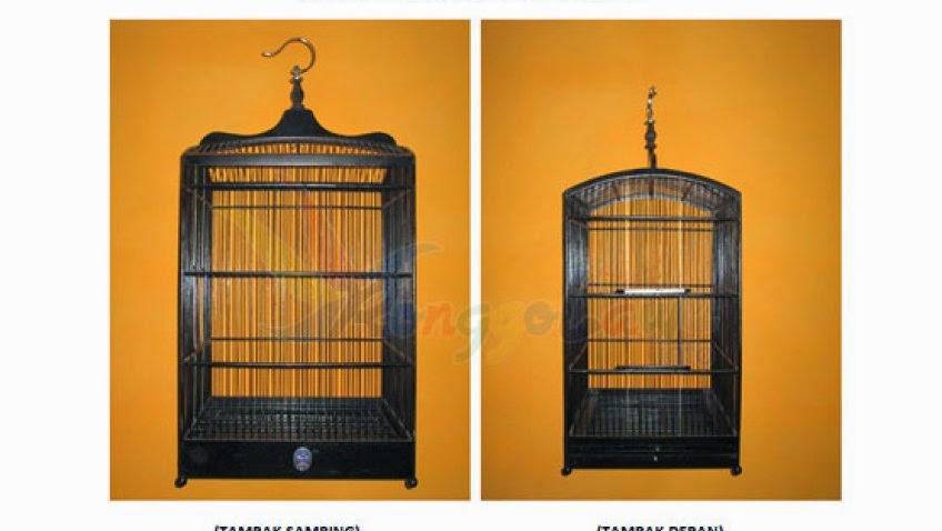 SANGKAR EBOD JAYA BURUNG KICAU SANGKAR EBOD JAYA BURUNG KICAU