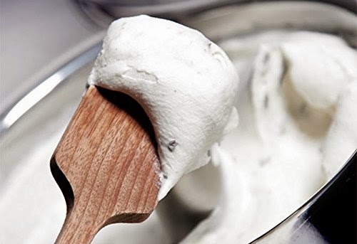 Lello 4080 Musso Lussino 1.5-Quart Ice Cream Maker, Stainless