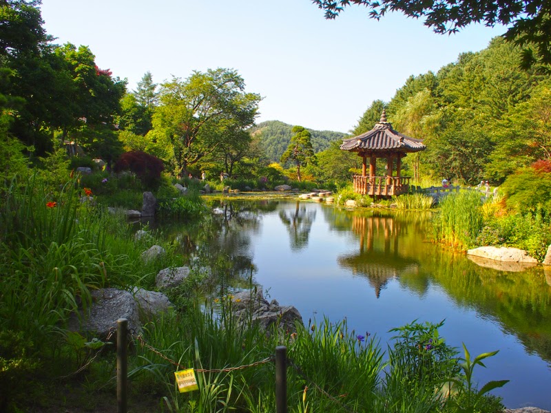 Ewha University Summer Studies Travel Korea Garden of Morning Calm lunarrive blog singapore