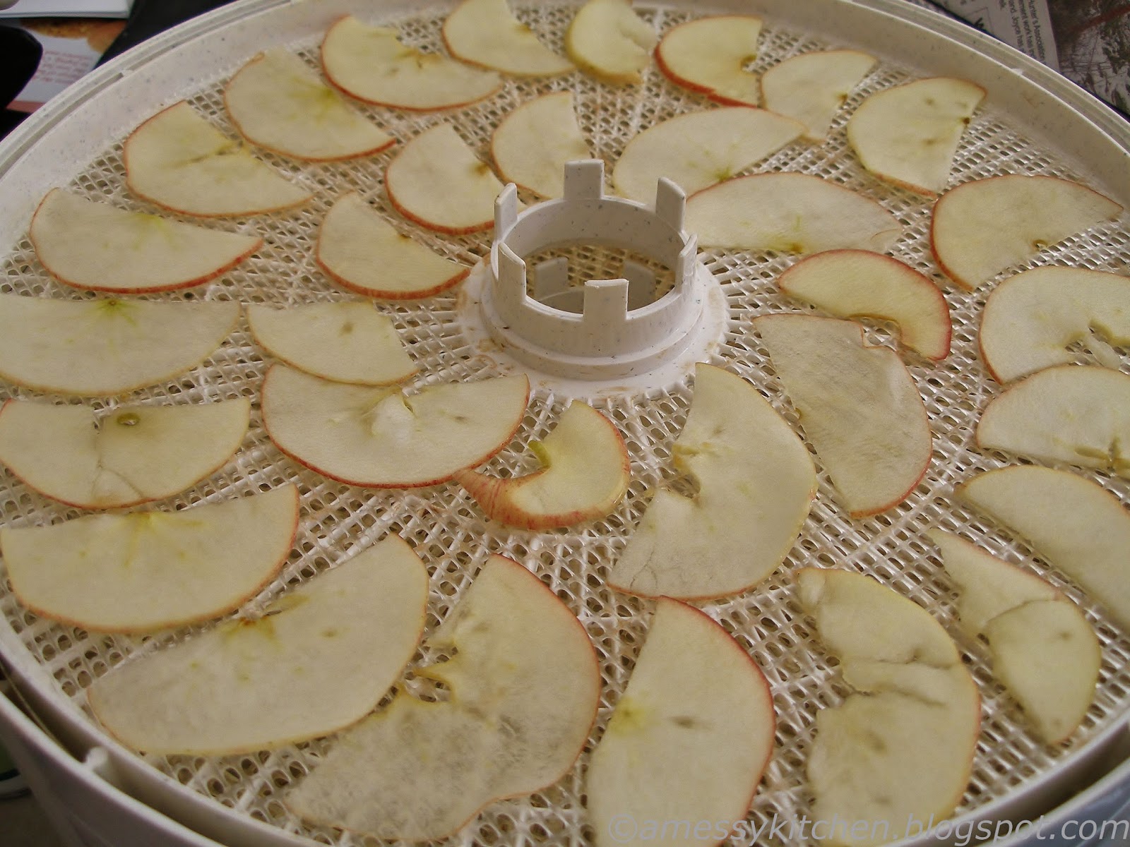 A Messy Kitchen Dehydrated Apple Chips