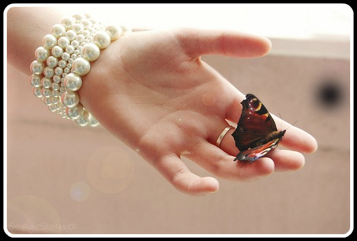 amor-butterflies-butterfly-enamorada-hand-Favim.com-140772.jpg