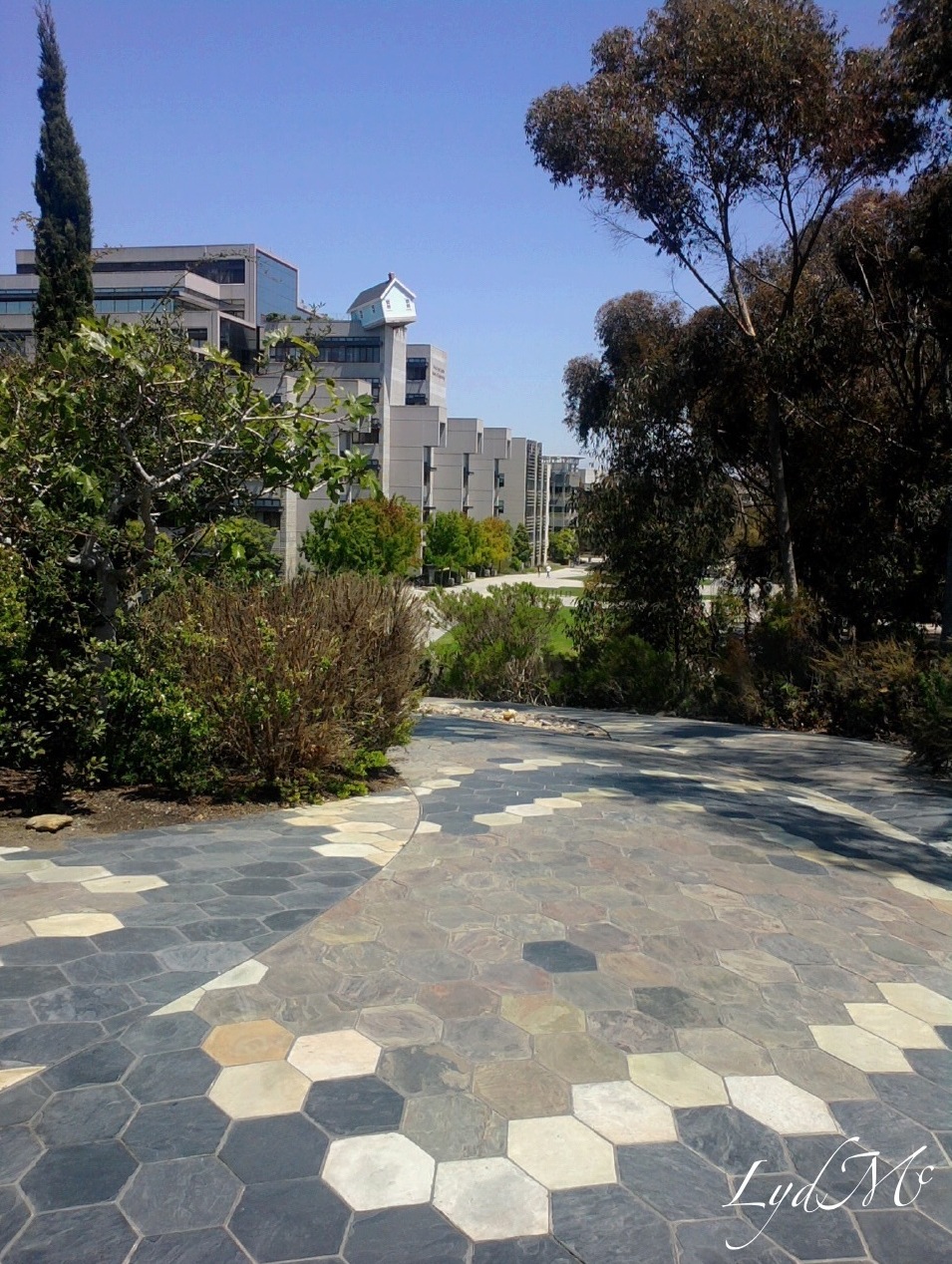 LydMc Celebration Shout Out The Stuart Collection at UCSD