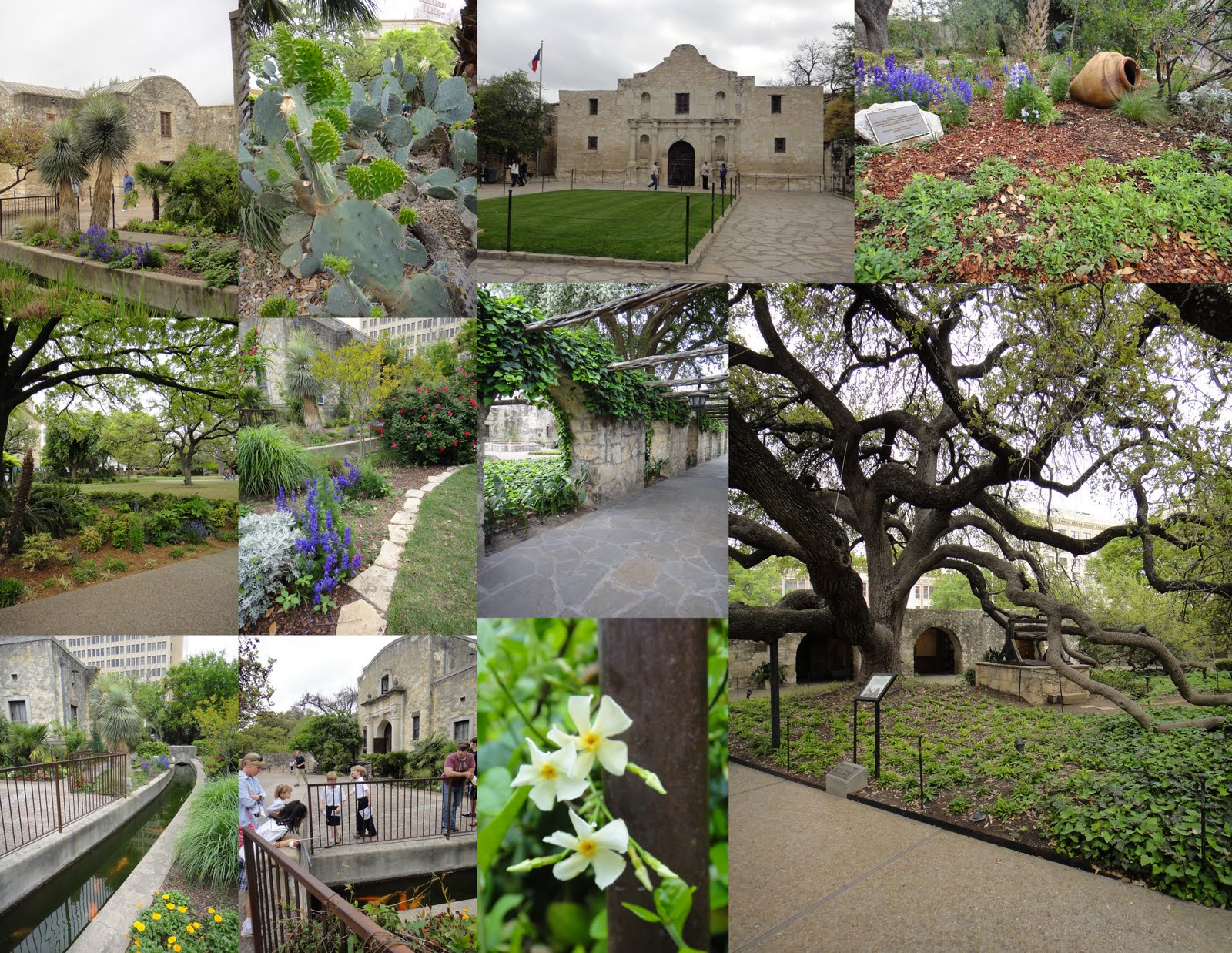 San Antonio Landscape Architect