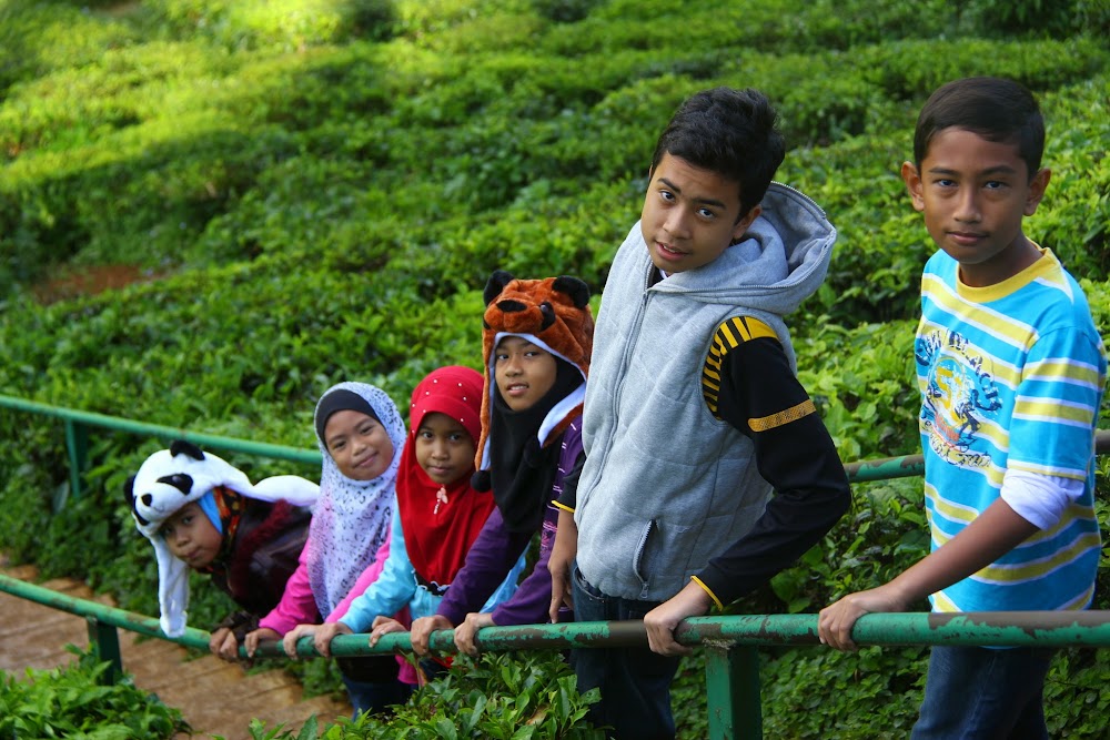 Tangga ke ladang Tangga ke ladang