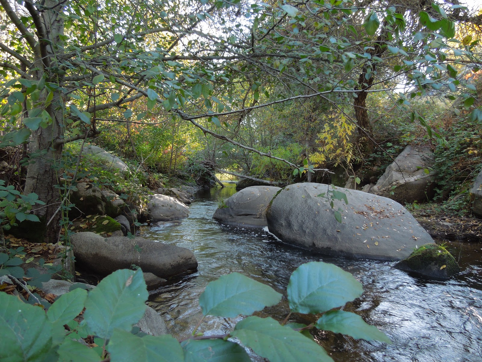Peachy Hiker Miners Ravine near Roseville, CA