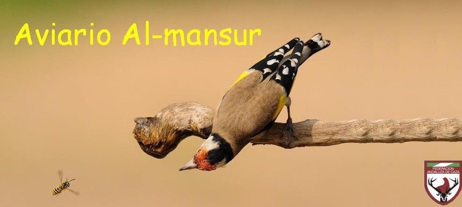 Aviario Al-mansur
