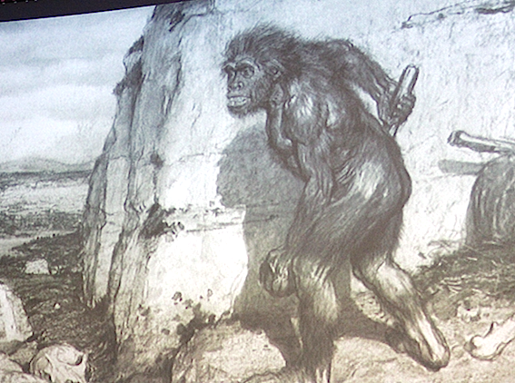 rencontre homo-sapiens et neandertal