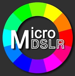 單眼相機顯微拍攝量測軟體 MicroDSLR