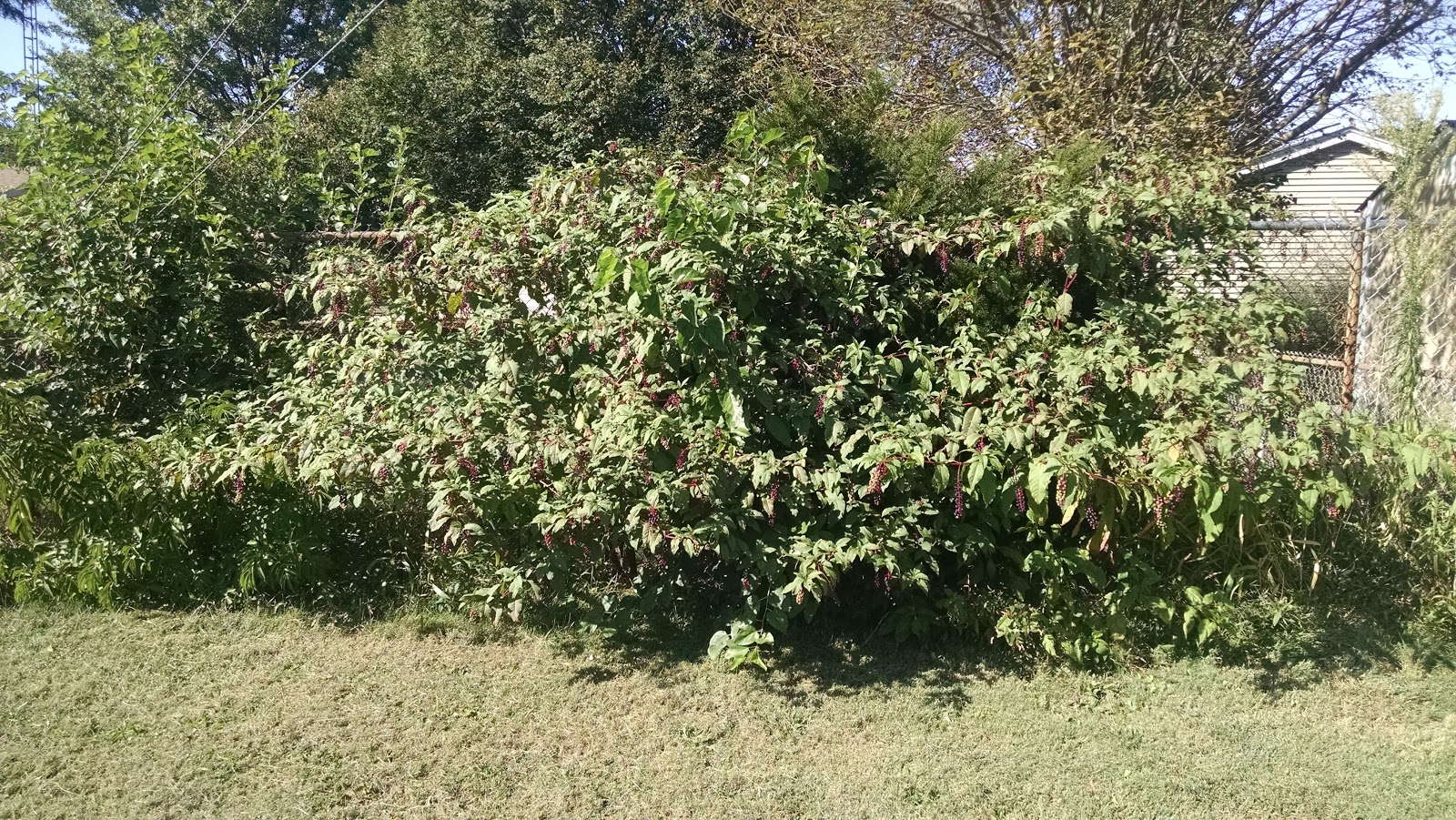 The Wild Land of Lincoln A Civic Service Announcement