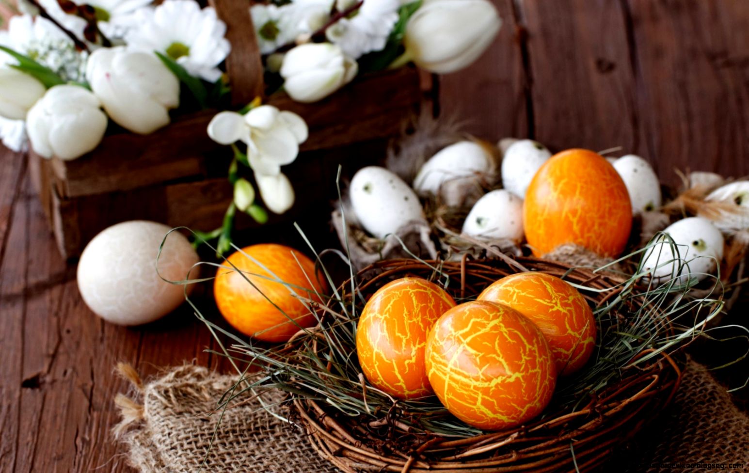 colors easter eggs dots holiday flower wooden hd wallpaper colors easter eggs dots holiday flower wooden hd wallpaper