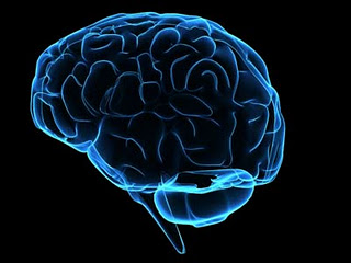 10 Fenomena Aneh di Dalam Otak Manusia