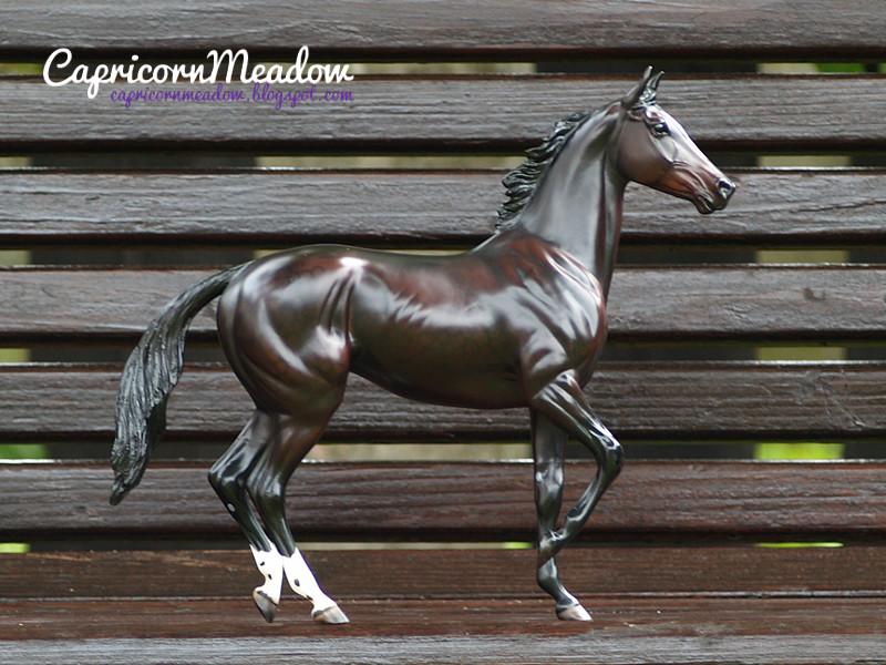 Capricorn Meadow Breyer Zenyatta fotki