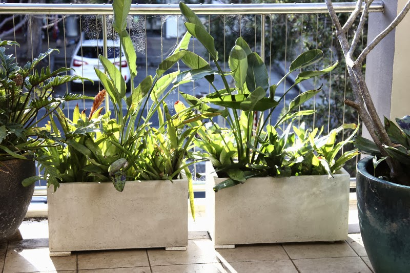 Vietnam Lightweight concrete Pots Vietnam large lightweight concrete