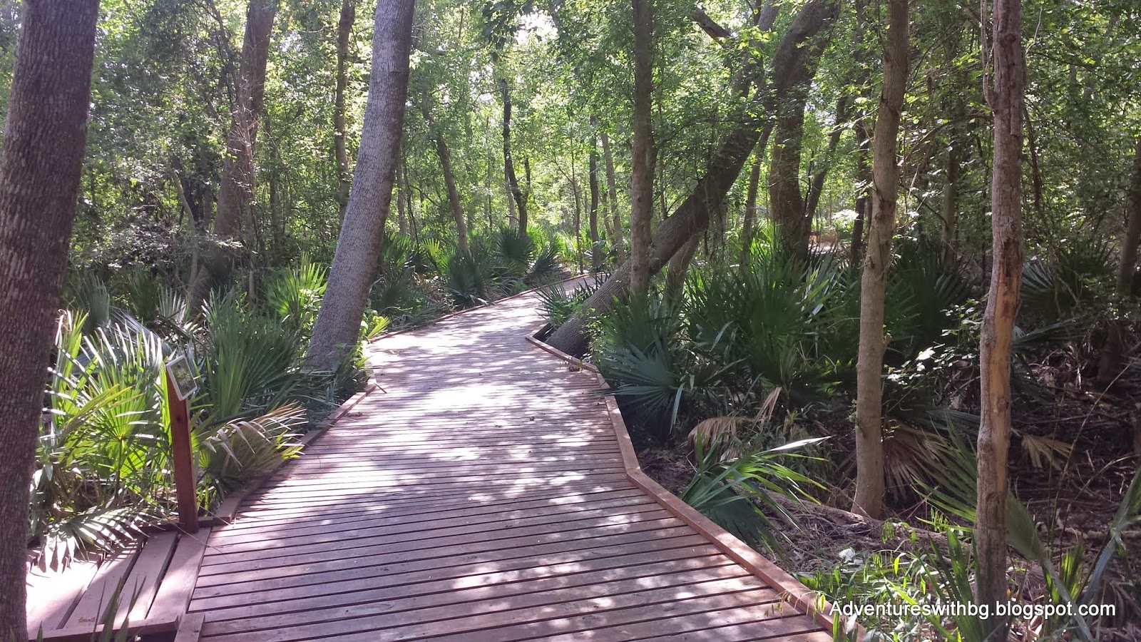 Boardwalk on The Ottine Swamp Trail Boardwalk on The Ottine Swamp Trail at Palmetto State Park