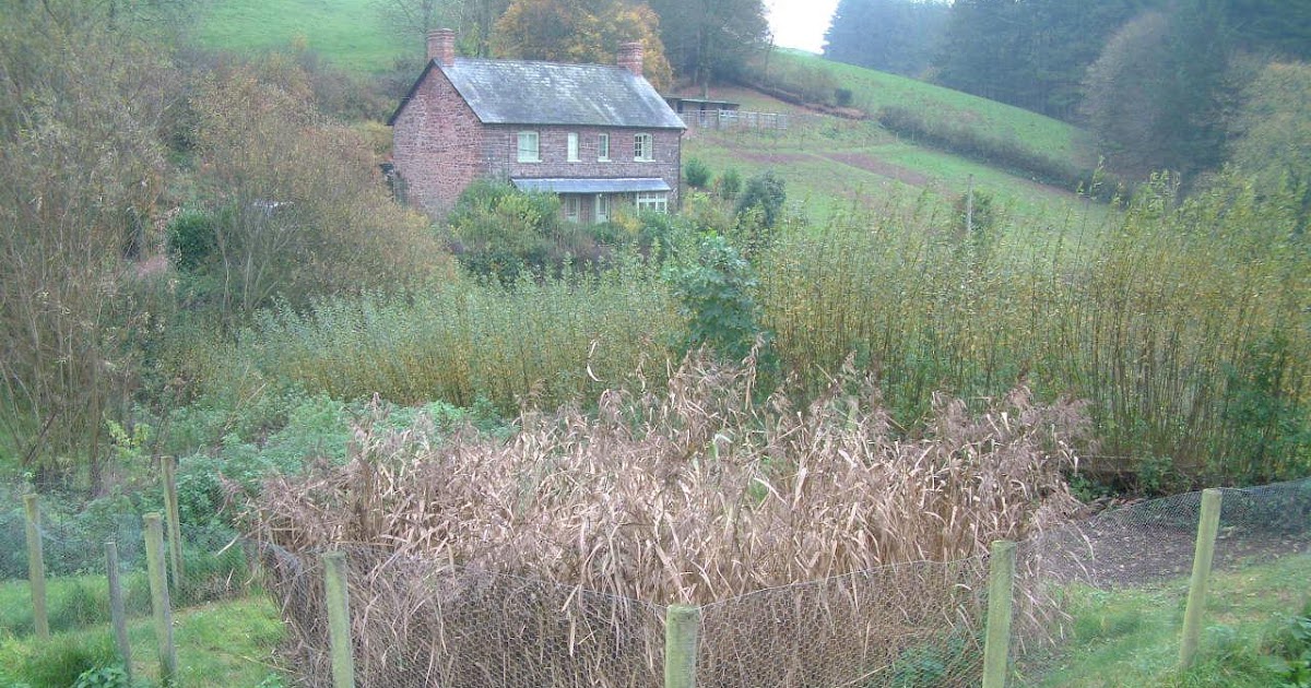 treatment wetlands Compact Vertical Flow Reed Beds