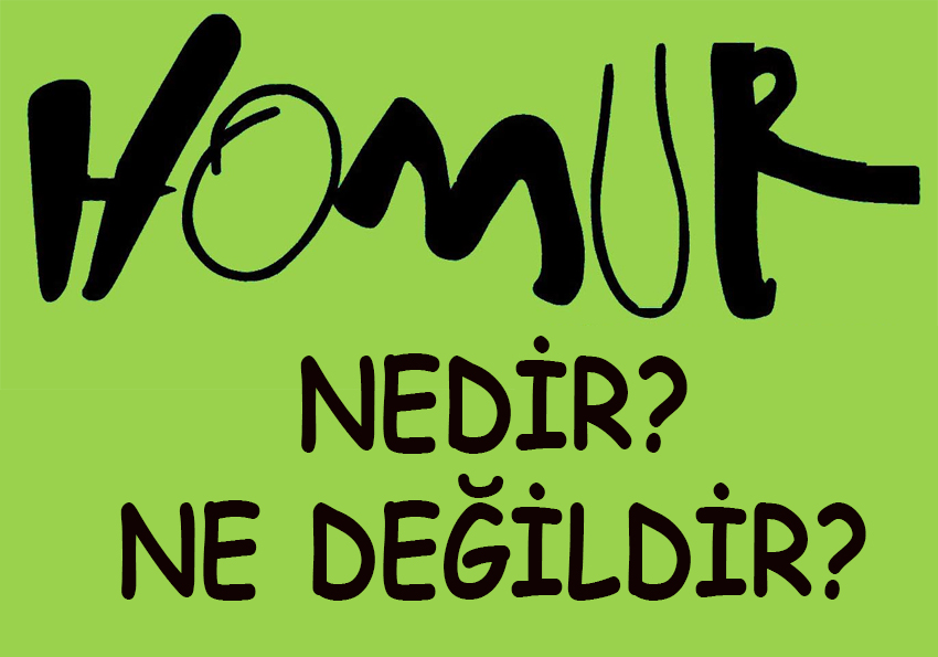 Homur nedir ne değildir?