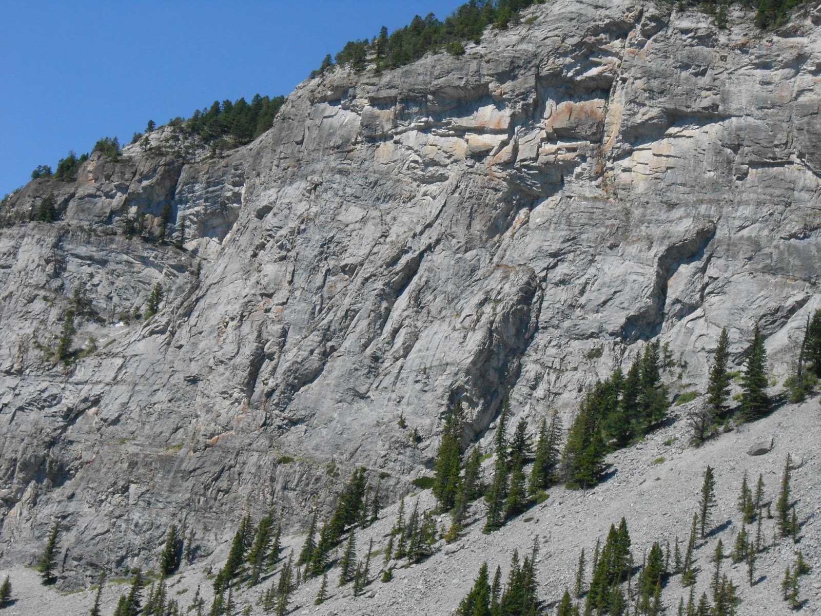The Climbing Life Bluff Wall, New Crags... and Frank Slide