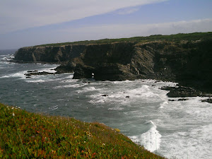 Costa Vicentina