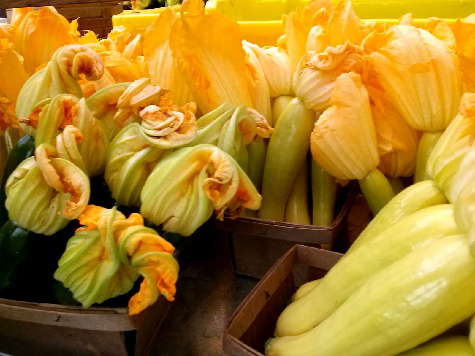 The Farmer's Daughter SUMMER SQUASH and BLOSSOMS