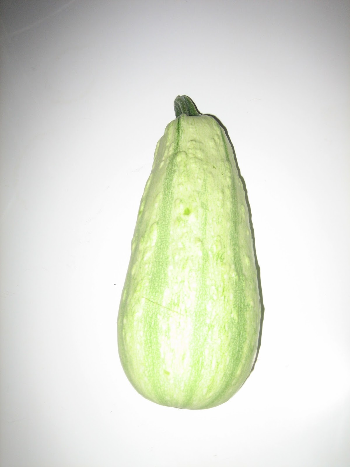 Growing White Zucchini in the GardenMy Favorite Czech Recipes
