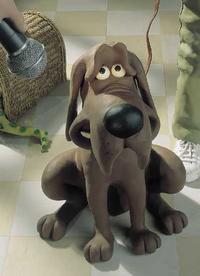Creature Comforts Dog