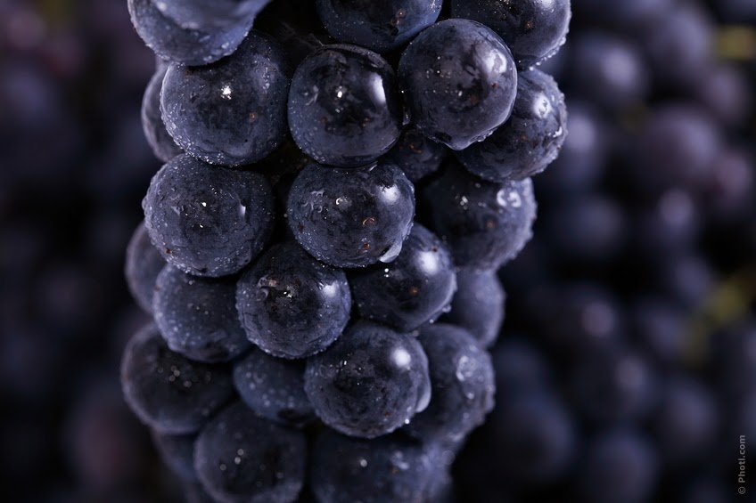 propiedades nutricionales de las uvas